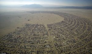 Let's go to Burning Man Festival 2014